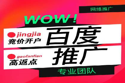 百度SEO推广技巧案例分析